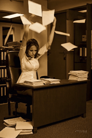 Le chaos administratif